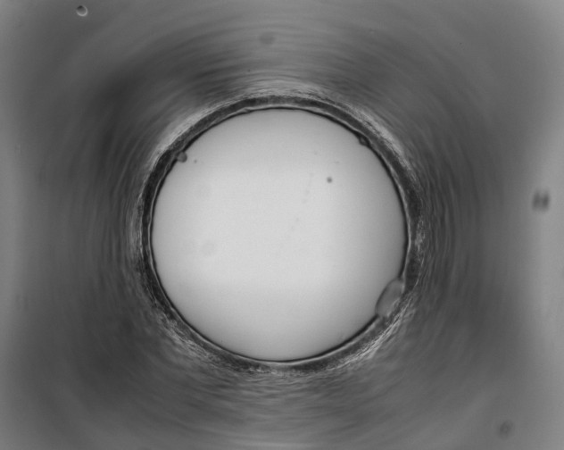 X0000099550877200806061514