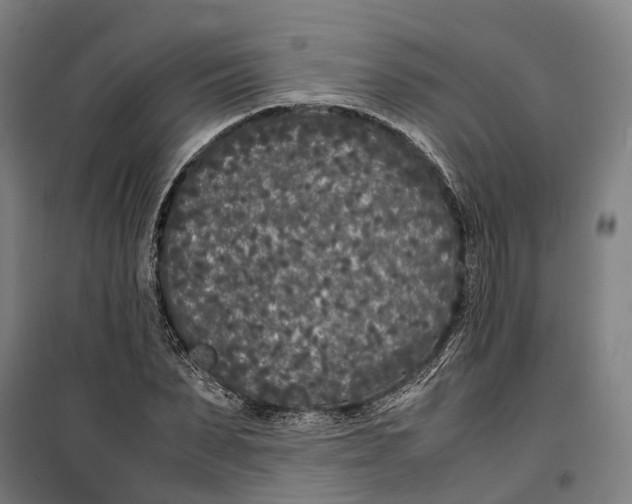 X0000099550879200806061514