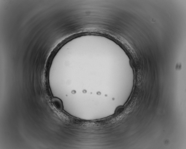 X0000099550880200806061514