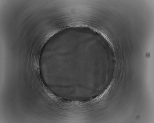 X0000099550881200806061514