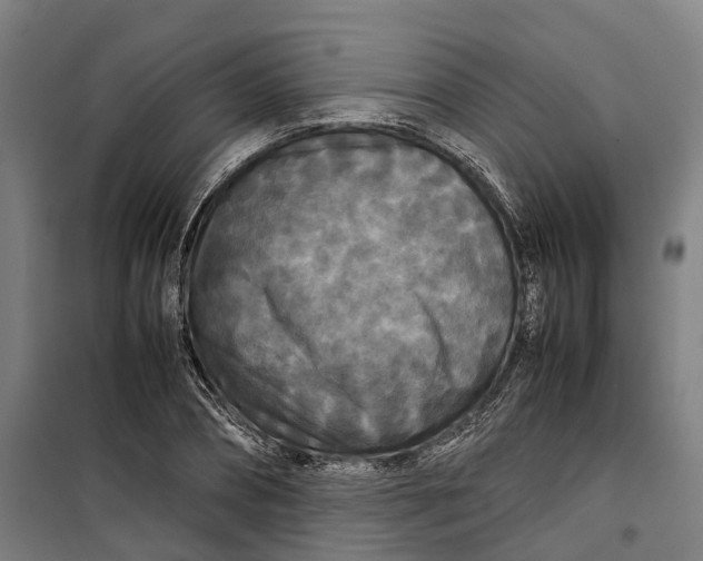 X0000099550882200806061514