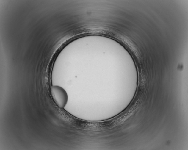 X0000099550883200806061514