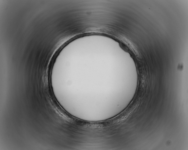 X0000099550884200806061514