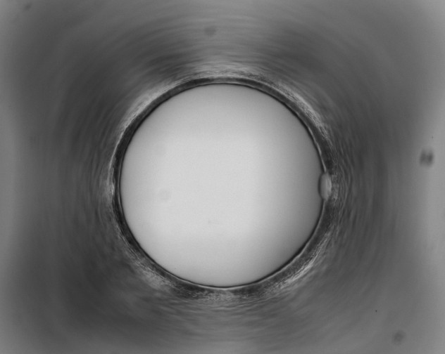 X0000099550885200806061514