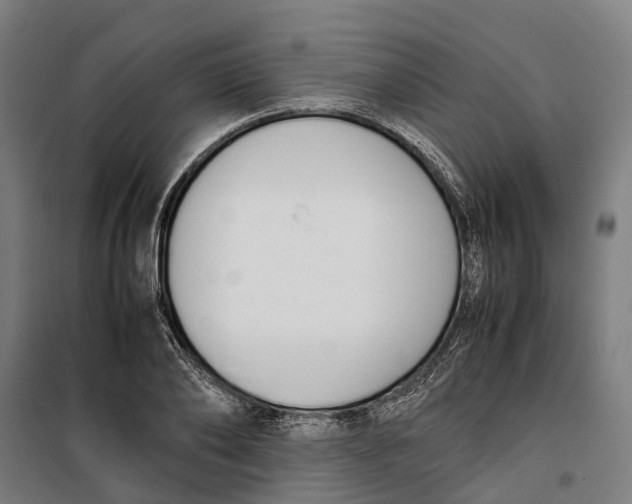 X0000099550886200806061514