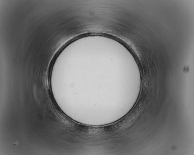 X0000099550887200806061514