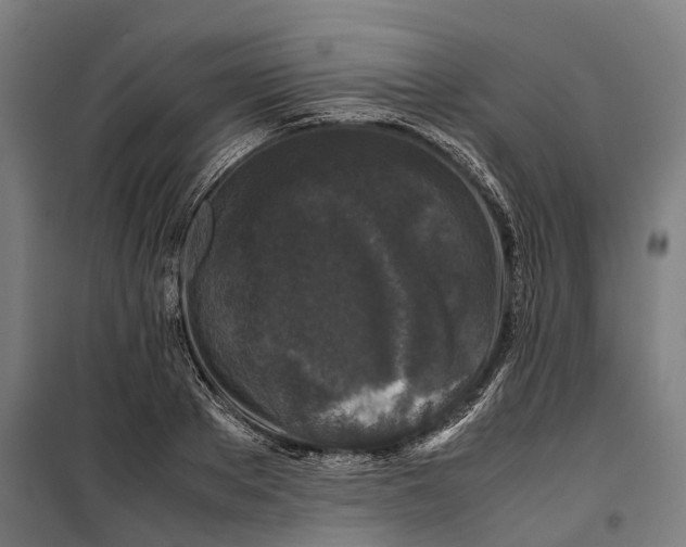 X0000099550889200806061514