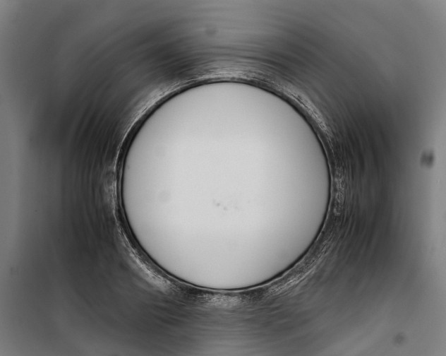 X0000099550890200806061514