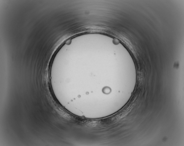 X0000099550891200806061514