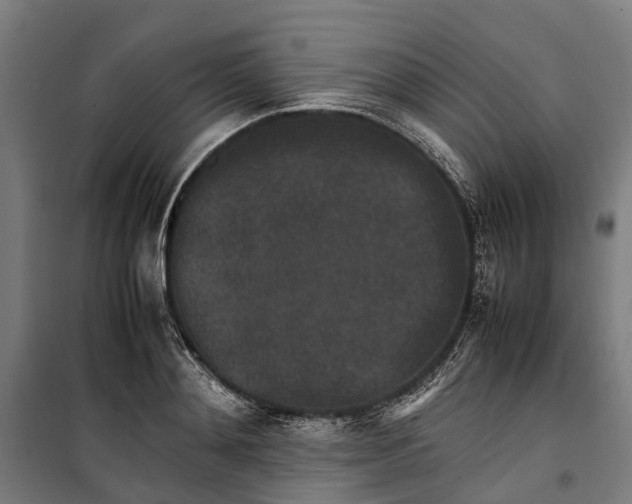 X0000099550892200806061514