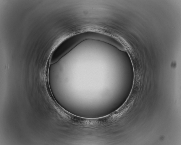 X0000099550893200806061514