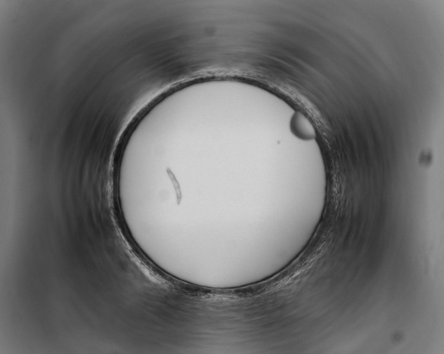 X0000099550894200806061514