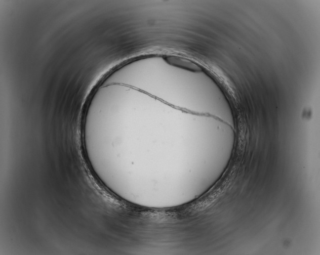 X0000099550896200806061514