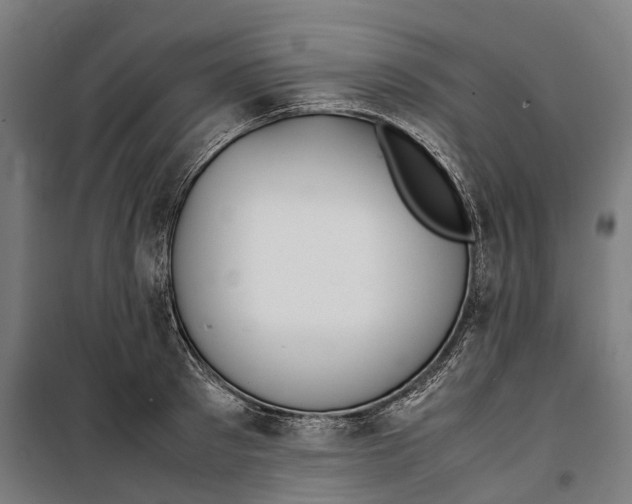 X0000099550897200806061514