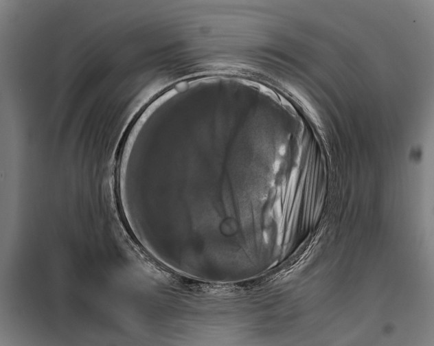 X0000099550899200806061514