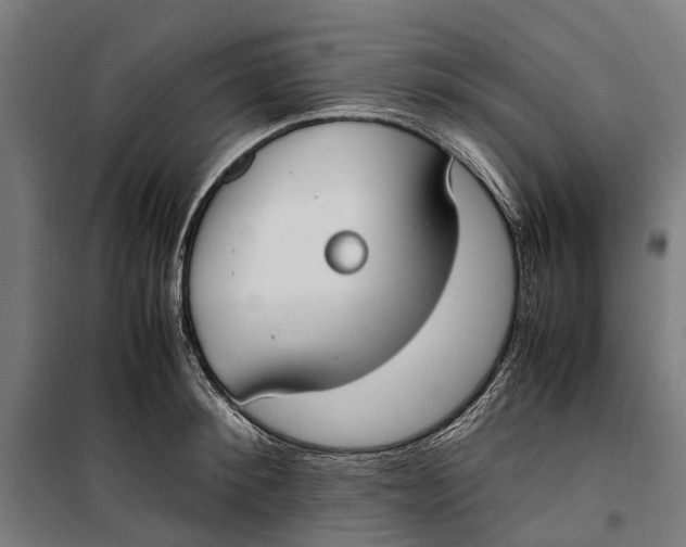 X0000099550900200806061514