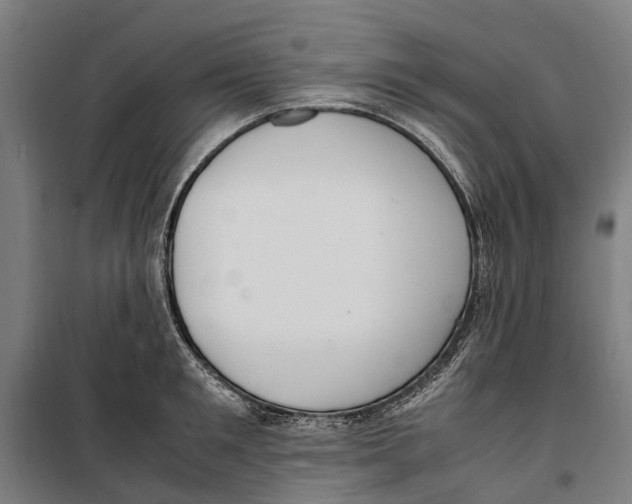 X0000099550901200806061514