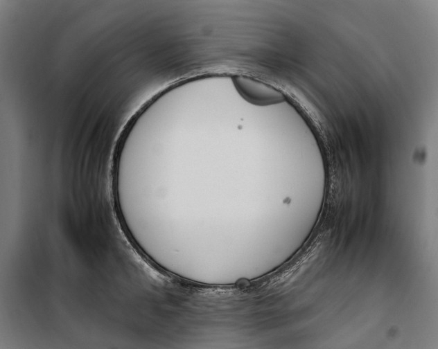 X0000099550902200806061514