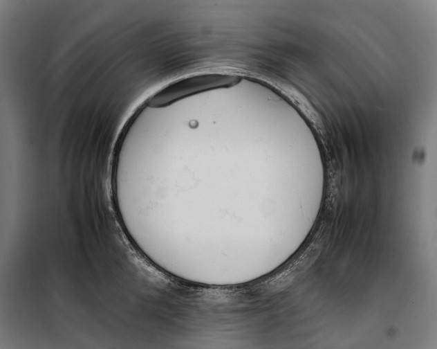 X0000099550904200806061514