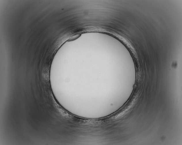 X0000099550905200806061514