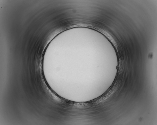 X0000099550906200806061514