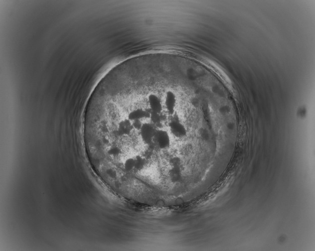 X0000099550907200806061514