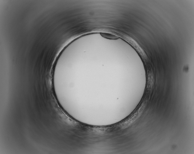 X0000099550908200806061514