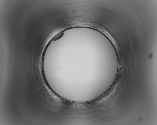 X0000099550909200806061514