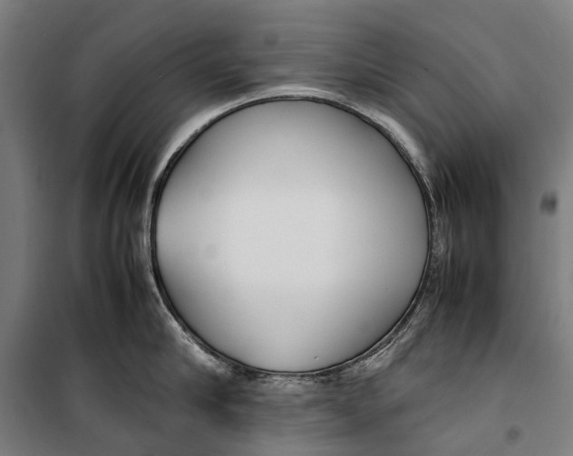 X0000099550910200806061514