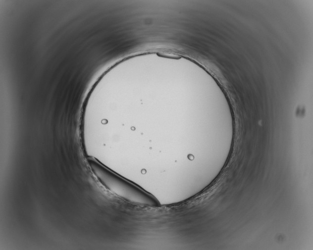 X0000099550912200806061514