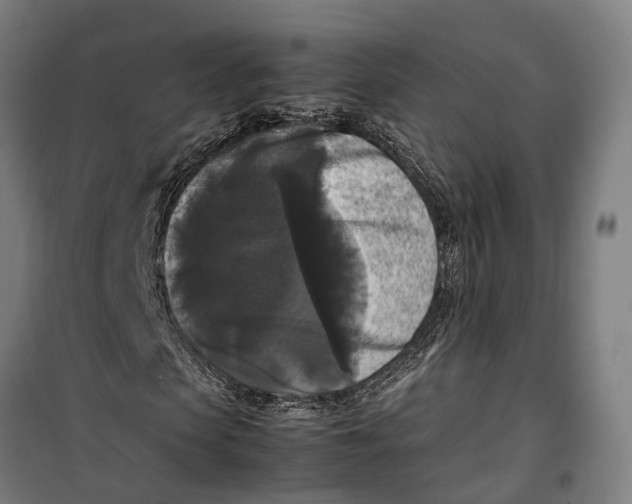 X0000099550913200806061513