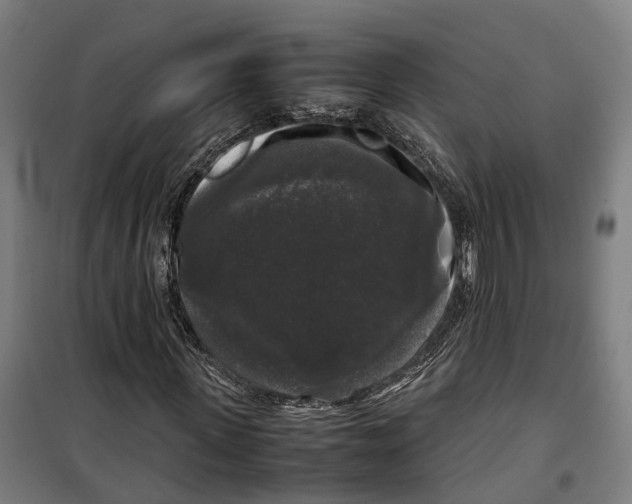 X0000099550915200806061513