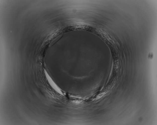 X0000099550916200806061513