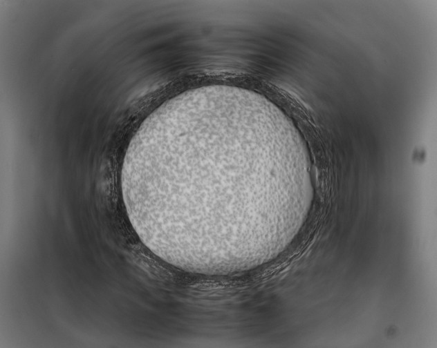 X0000099550917200806061513