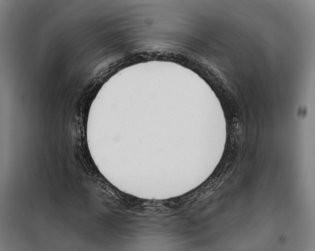 X0000099550918200806061513