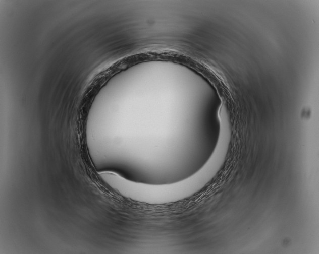 X0000099550920200806061513