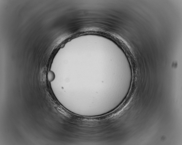 X0000099550921200806061513