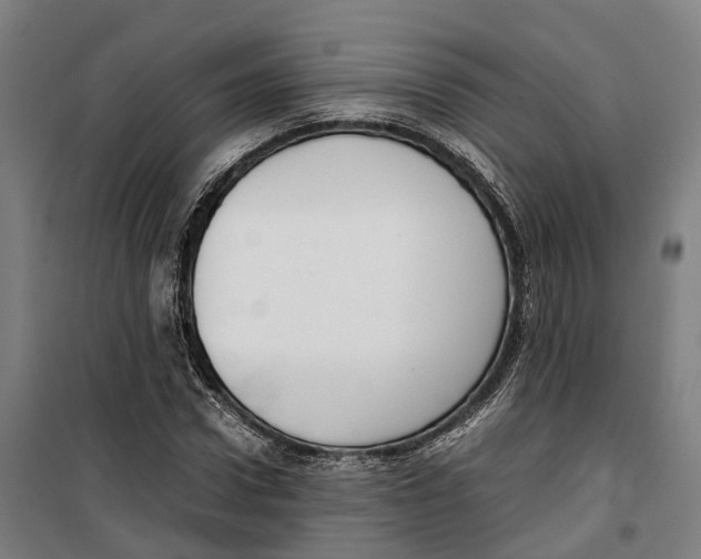 X0000099550922200806061513