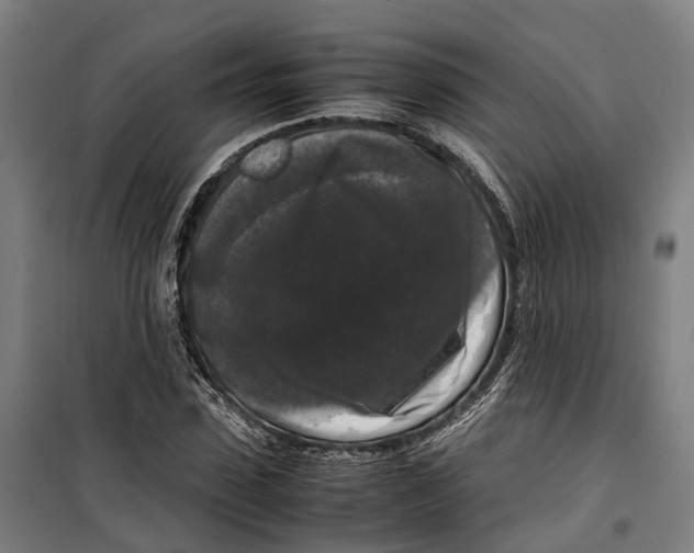 X0000099550923200806061513