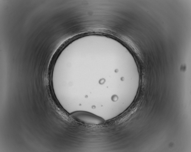 X0000099550924200806061513