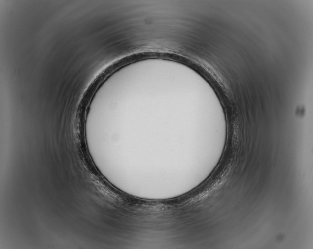 X0000099550926200806061513