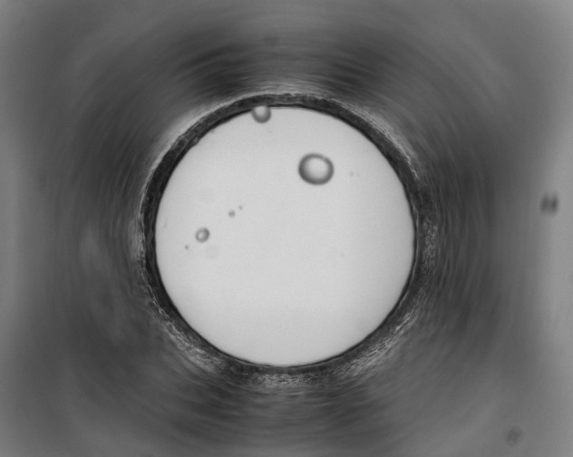 X0000099550927200806061513