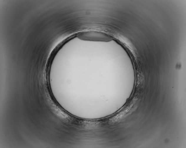 X0000099550928200806061513