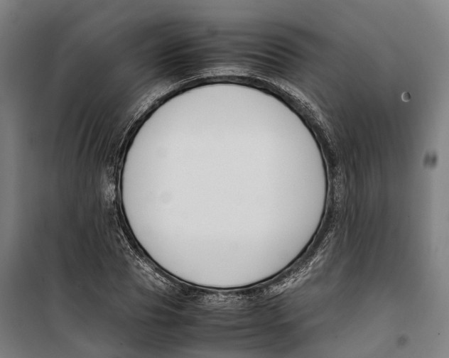 X0000099550929200806061513