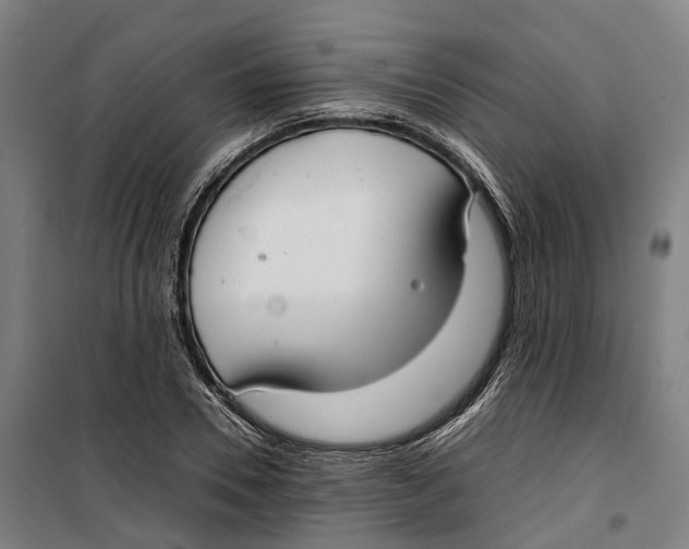 X0000099550930200806061513