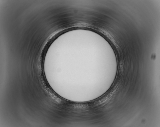 X0000099550931200806061513