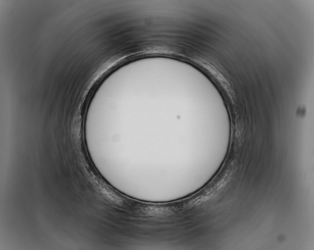 X0000099550933200806061513