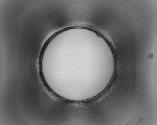 X0000099550936200806061513