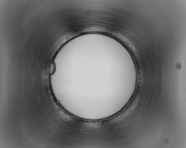 X0000099550937200806061513