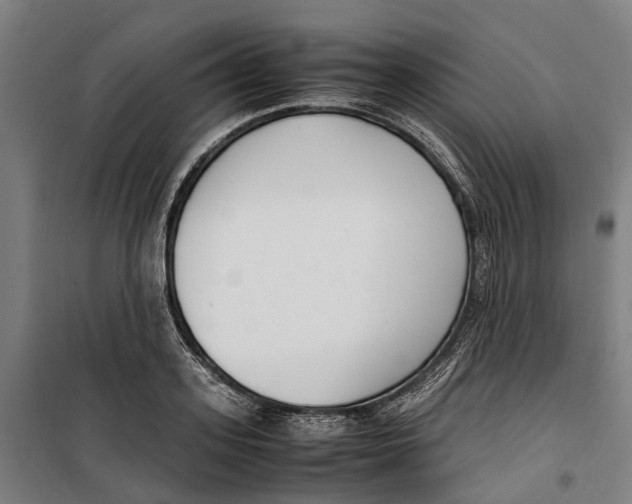 X0000099550939200806061513